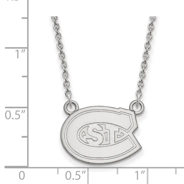 TreasureFineJewelers Necklaces 10K White Gold St Cloud State Small Pendant with Necklace
