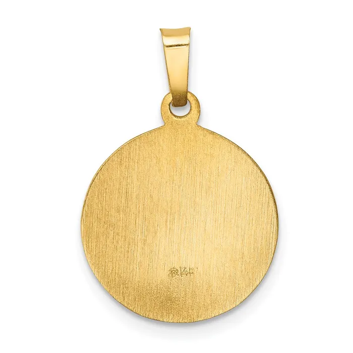 TreasureFineJewelers Necklaces 14k Yellow Gold Polished and Satin Sacred Heart of Mary Medal Hollow Pendant
