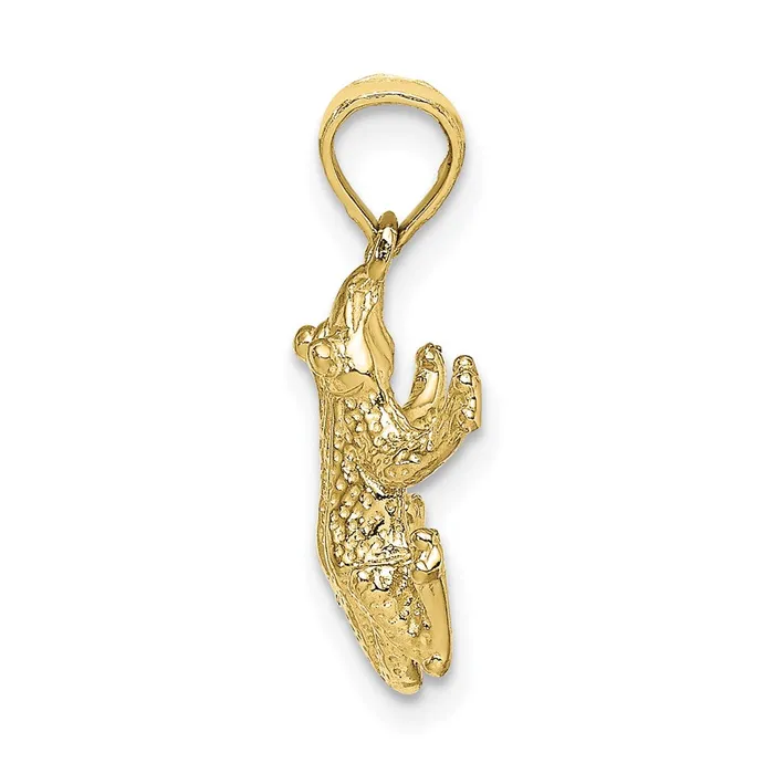 Charm Necklaces 10k Textured Top View FROG CharmWBC10K6517 WB Choice Jewelry