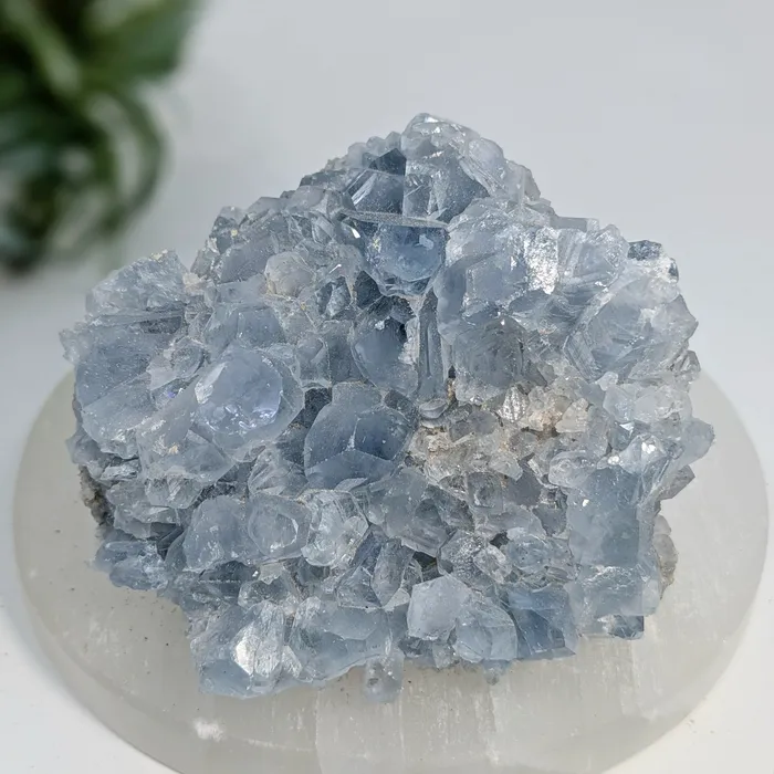 Bliss Crystals Charm Necklaces Celestite 325 Geode Cluster LV7413